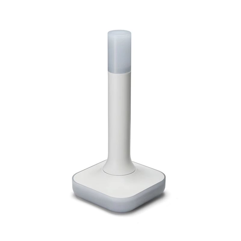 Matter Hub Thread - Ev Asistanı Connect ZBT-2, Akıllı Ev