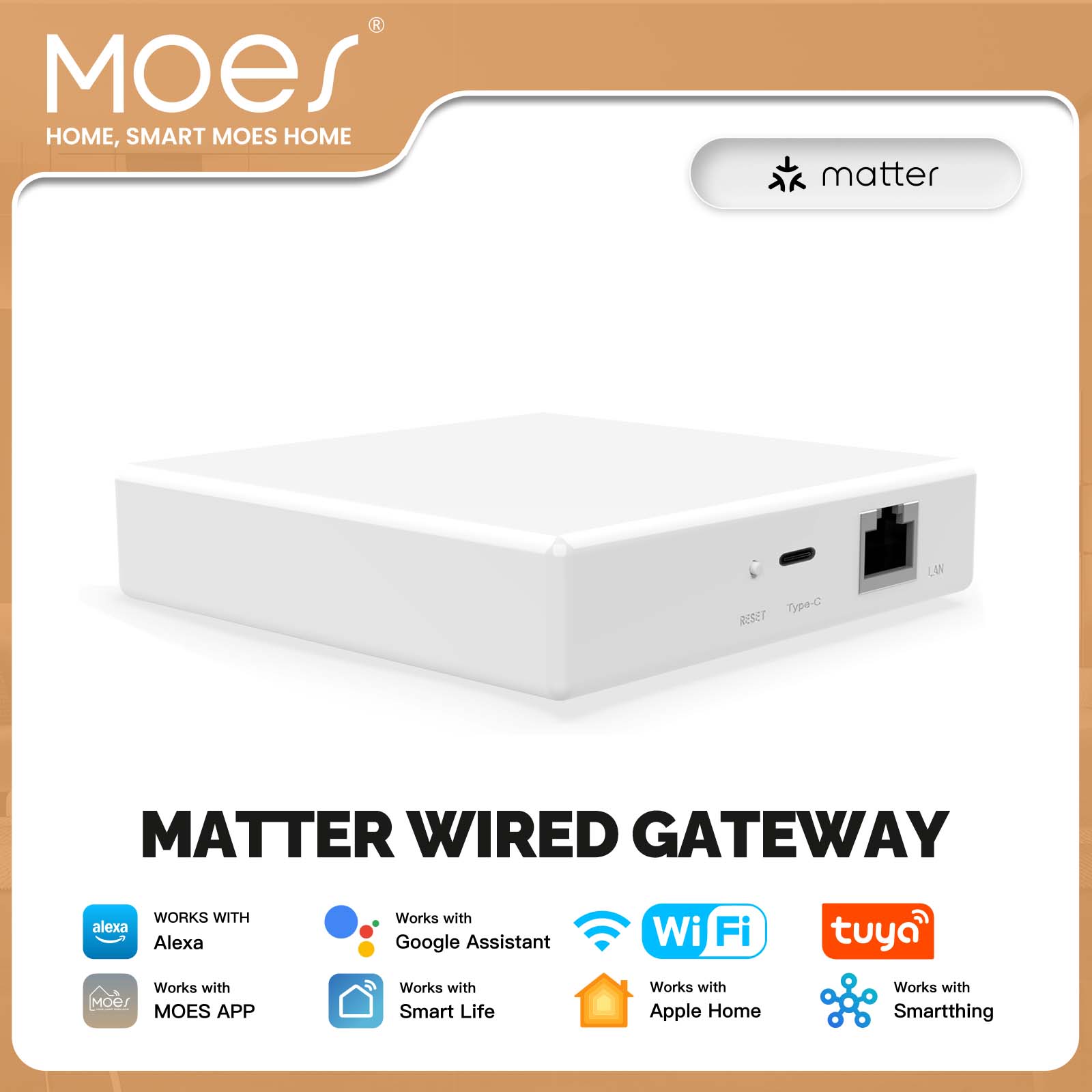 Matter Hub Thread - MOES Tuya ZigBee Matter Thread Ağ