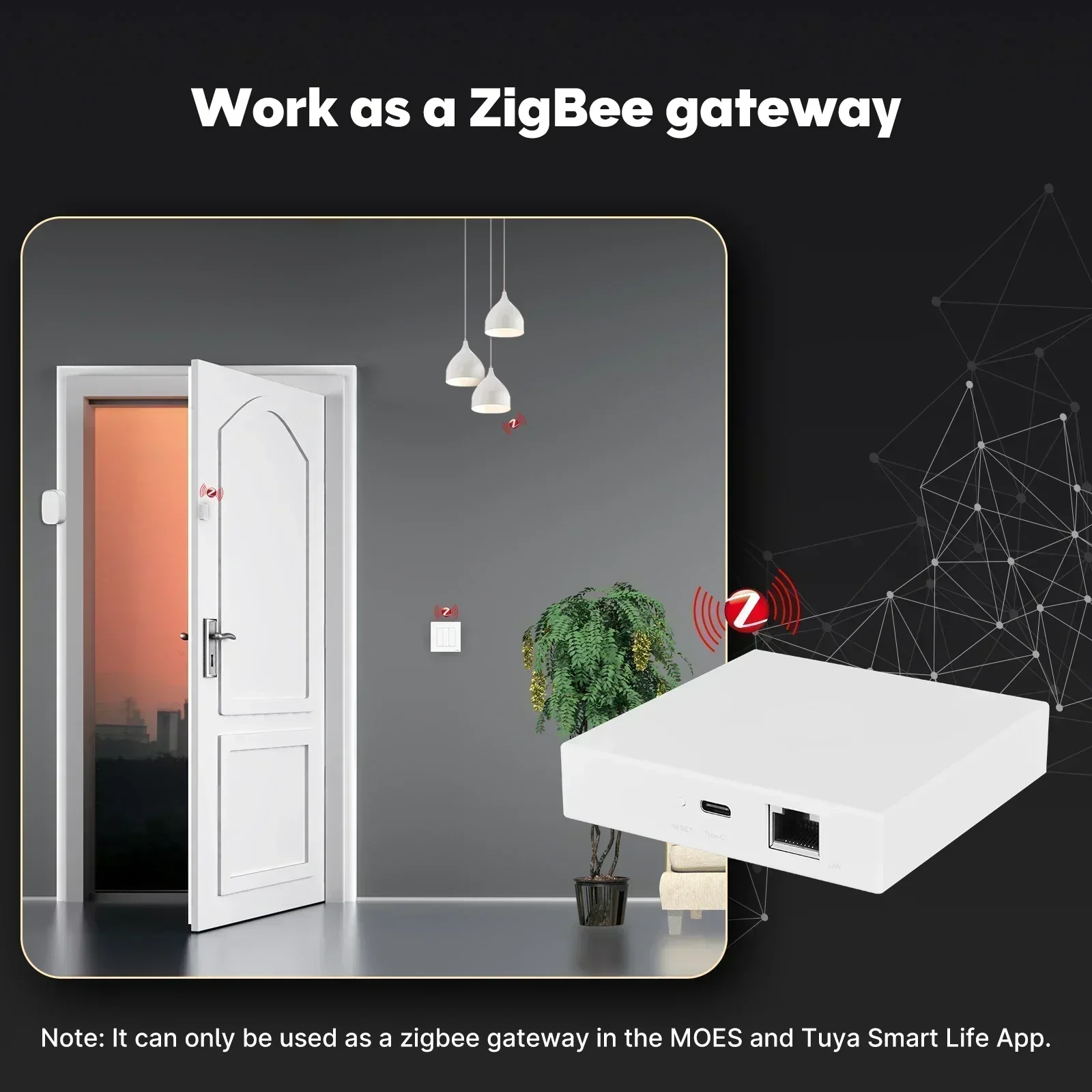 MOES Tuya Zigbee Madde Konu Ağ - Matter Hub Thread incelemesi ve fiyatı