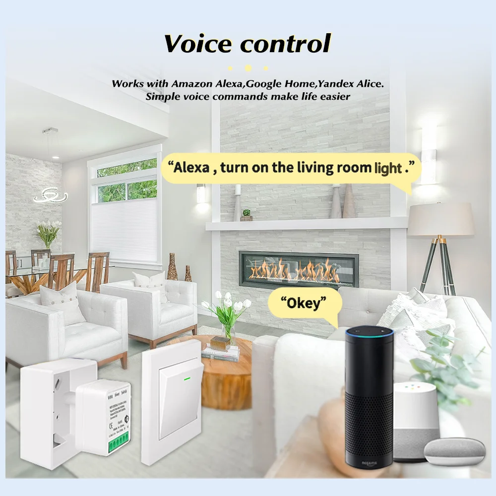 Tuya Mini Akıllı WiFi Anahtarı - Smart Home Automation Diy incelemesi ve fiyatı
